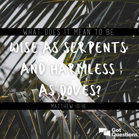what does it mean to be wise.